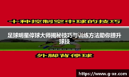 星空.综合体育(中国)官方网站