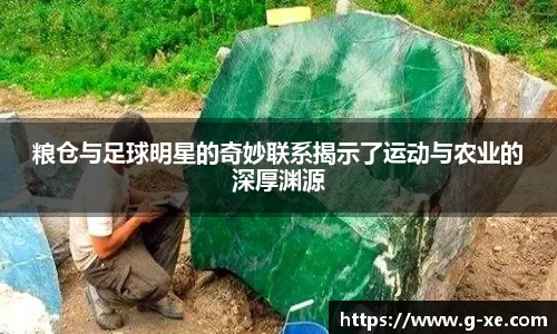 星空.综合体育官网