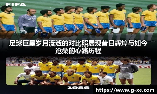 星空.综合体育(中国)官方网站