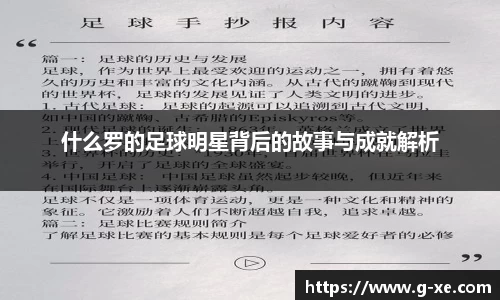 星空综合(中国)官方网站