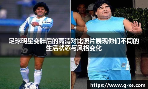 星空.综合体育官网