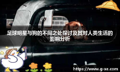 星空.综合体育(中国)官方网站